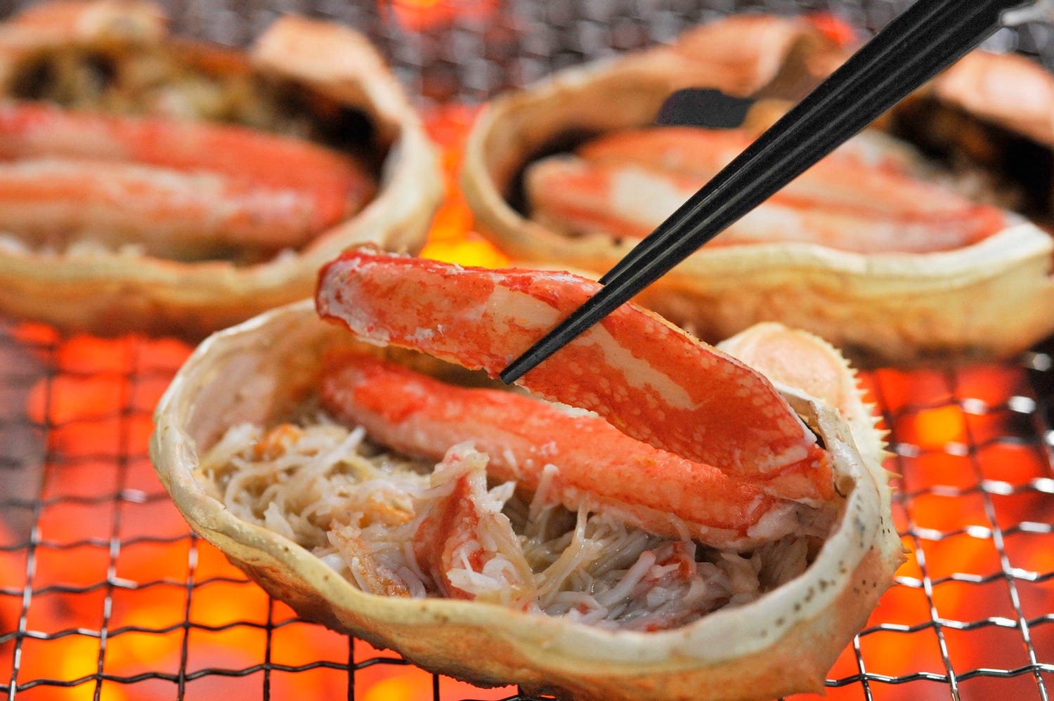 約300店舗が出店!「2023 さっぽろオータムフェスト」肉・魚介やラーメンなど“なまらうまい”グルメが集結