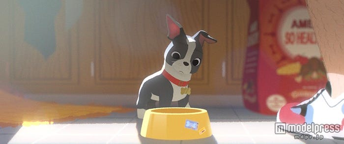 受賞した「愛犬とごちそう」