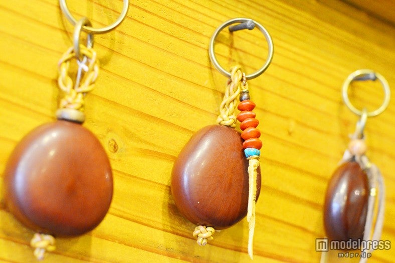 世界最大のマメ科・藻玉のキーホルダー