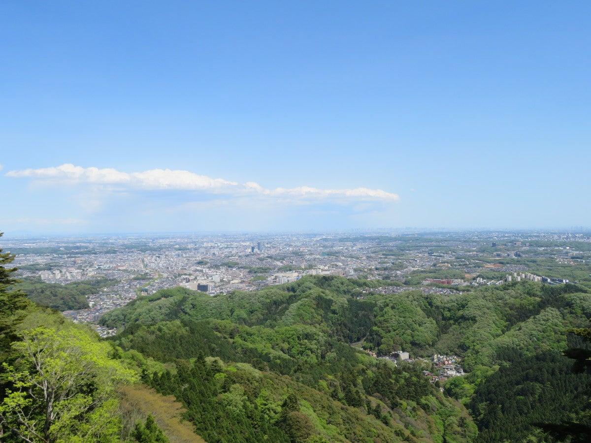 展望台からの開放感のある眺め（提供画像）