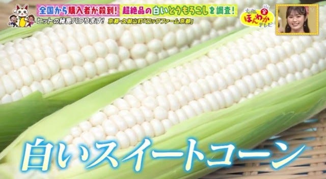 【京都・久御山町】全国から購入者が殺到!1日数千本も売れた「白いスイートコーン」とは?