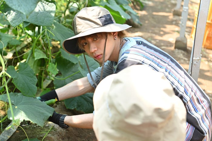 田中洸希「シュガードッグライフ」第4話より(C)依子・一迅社/ABC