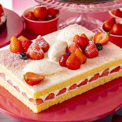 Strawberry Chocolate Factory/提供画像