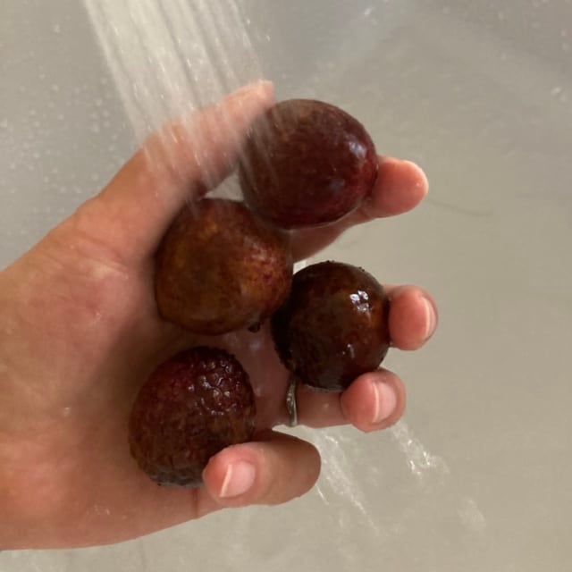 流水解凍した業務スーパーの冷凍ライチ