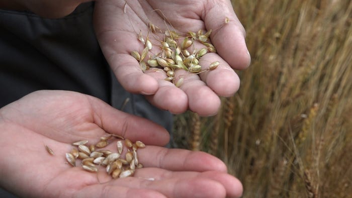 番組の様子(写真提供:関西テレビ)