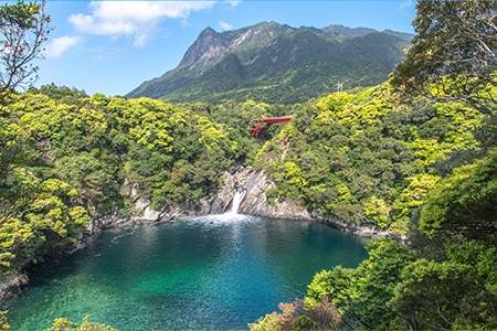 「屋久島」