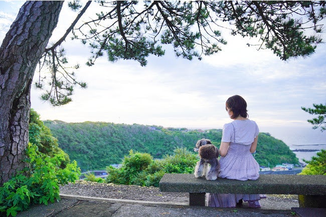 展望岬／画像提供：AuTaBi