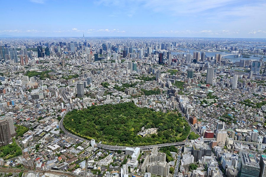 国立科学博物館附属自然教育園