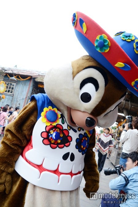 チップがこんなに近くまでやってくる！