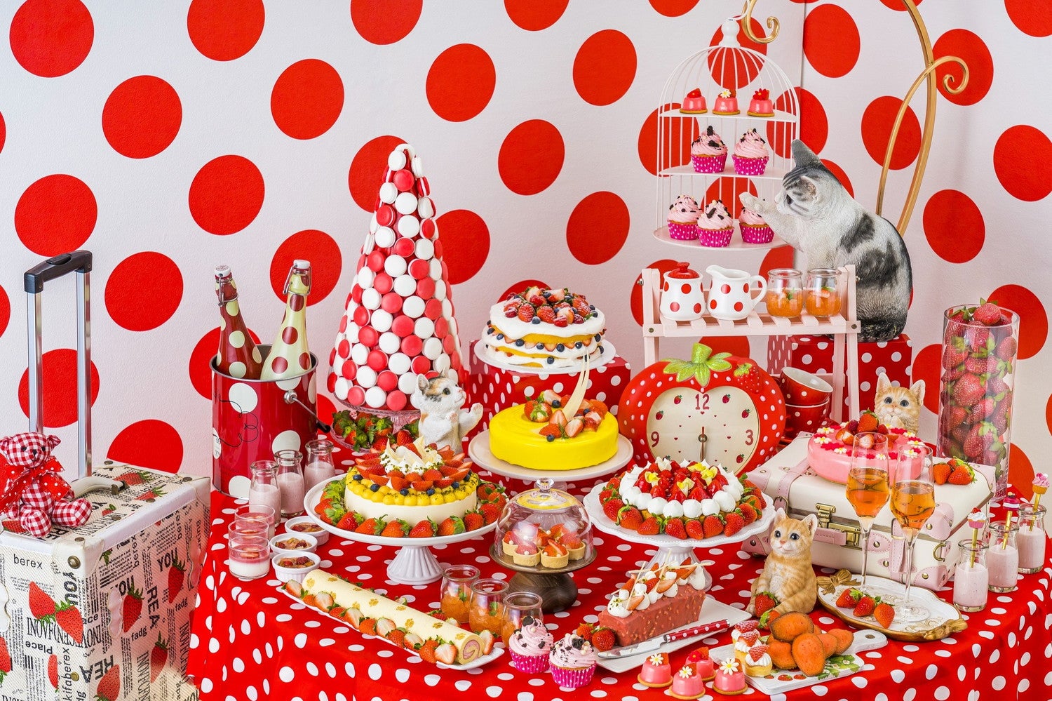 ポルカドット・ストロベリーCATS／画像提供：ヒルトン広島