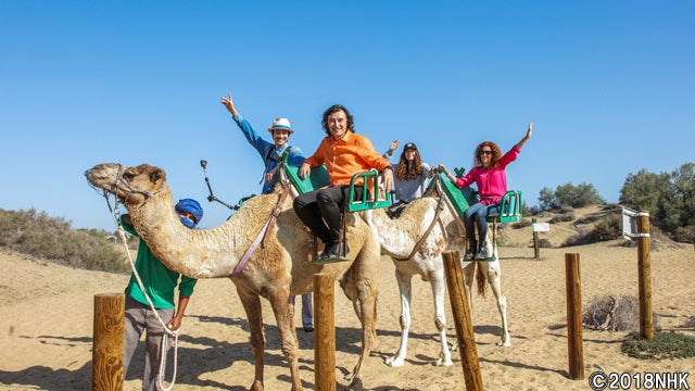 ポルノグラファー の竹財輝之助の素がかわいいと話題の 旅するスペイン語 ラクダに揺られ感動 モデルプレス