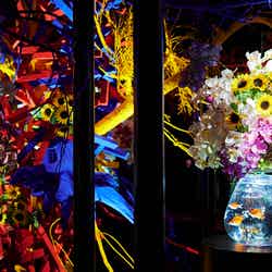 夏のアートアクアリウム~金魚で夏を感じる、涼~/画像提供:アートアクアリウム製作委員会