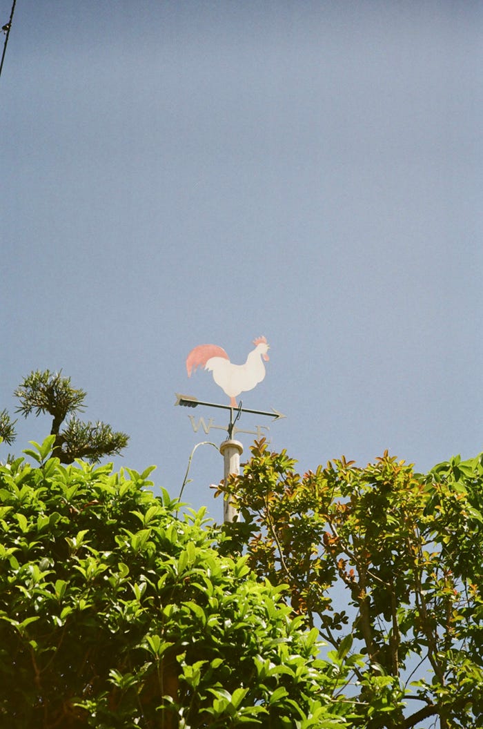 鈴鹿央士撮影の「花まんま」現場写真(C)2025「花まんま」製作委員会