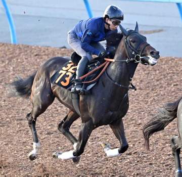 【新馬戦】厩舎期待の良血馬ジェットシェヴロン 潜在能力の高さ疑いなし