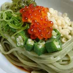 磯の香りとつるつる食感 磯菜うどん/画像提供:日本アクセス