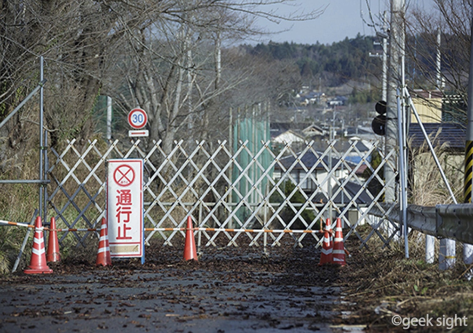 「1001のバイオリン」