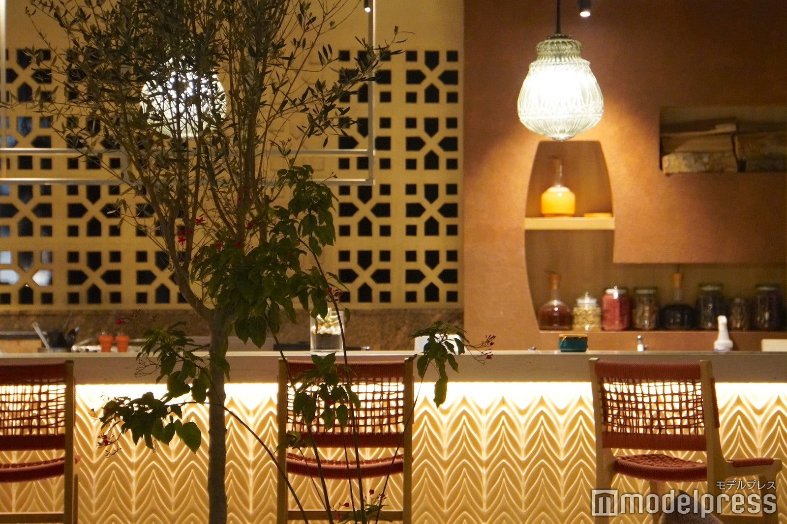 Gerbou（C）モデルプレス