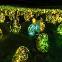 チームラボプラネッツ/画像提供:チームラボ