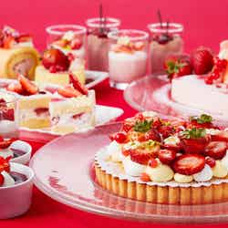 苺スイーツコレクション/画像提供:株式会社アゴーラ・ホスピタリティーズ-(2)