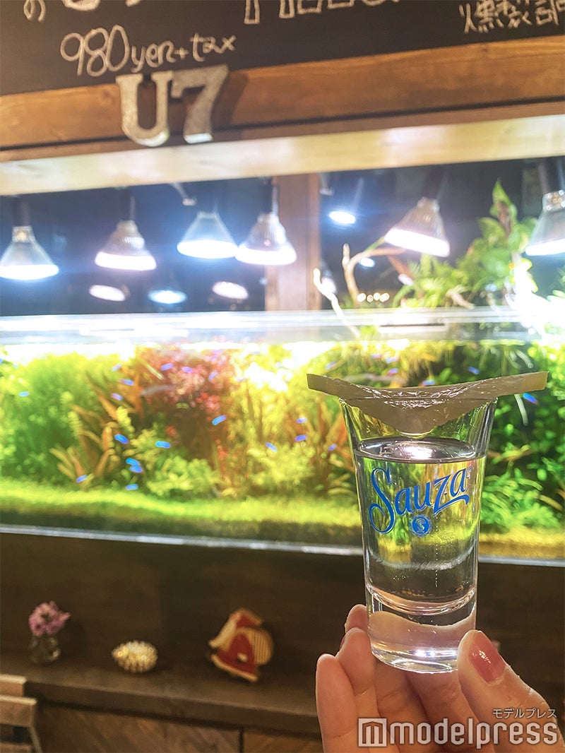 いつもの飲み会がグッとおしゃれになる『サウザカクテルショット』（C）モデルプレス