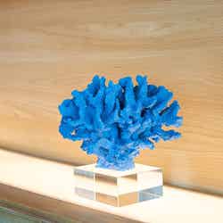 神戸須磨シーワールドホテル/提供画像