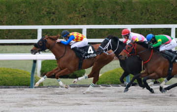 【レグルスS】テーオーグランビル猛追を鼻差しのいでオープン初勝利 岩田望「ペースもいい感じで勝った時のイメージ通り」