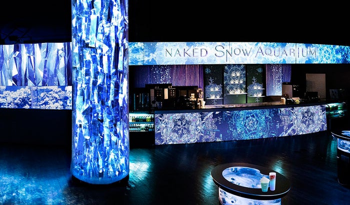 NAKED SNOW AQUARIUM／画像提供：横浜八景島
