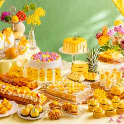 マンゴー ランデブー/提供画像