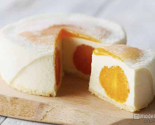 みかんまるごと5個入り!新スイーツが登場