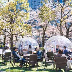 ドーム型テント席／画像提供：東京ミッドタウンマネジメント株式会社