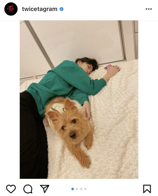 可愛すぎる 眠れる森の美女 Twice モモ 愛犬のそばで眠るリラックスショットに世界中で反響 モデルプレス