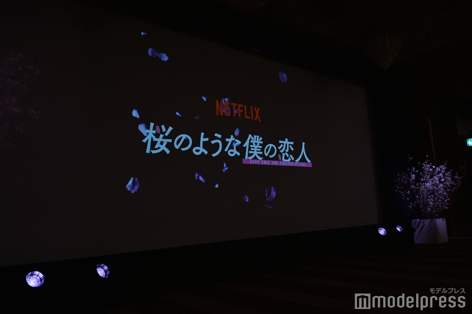 「桜のような僕の恋人」プレミアイベント （C）モデルプレス