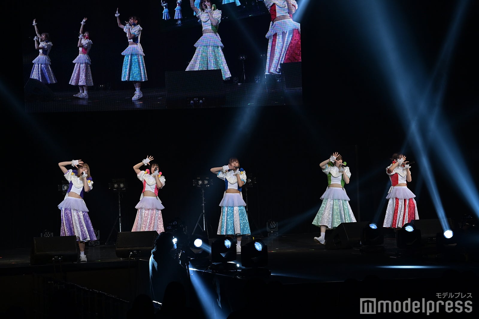 豆柴の大群（C）モデルプレス