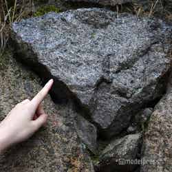 よく見るとハートの形をしている、触れると良縁に恵まれるかも(C)モデルプレス