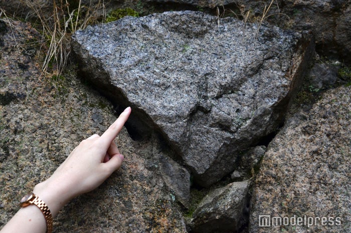 よく見るとハートの形をしている、触れると良縁に恵まれるかも(C)モデルプレス