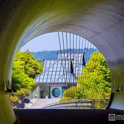 ミホミュージアム/画像提供:MIHO MUSEUM