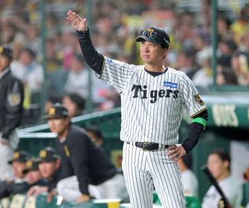 阪神 藤川監督「もう明日に切り替えるというところですね」CS4年ぶり完封負けも意に介さず 「常に初めてのことだと思ってやっいてますので」