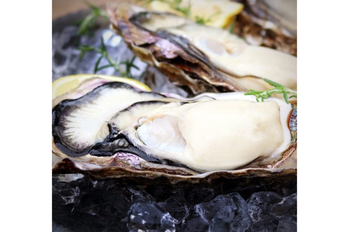 北海道厚岸産生牡蠣