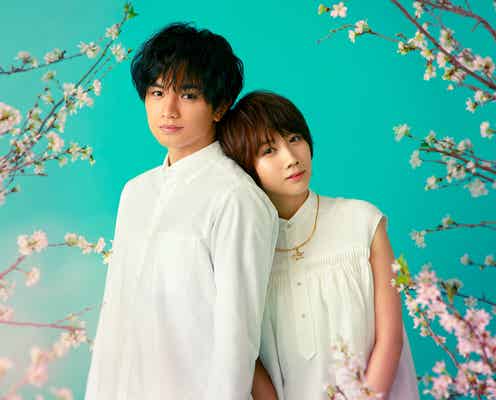 Sexy Zone中島健人「桜のような僕の恋人」映画化で主演「人生の最高傑作にしたい」