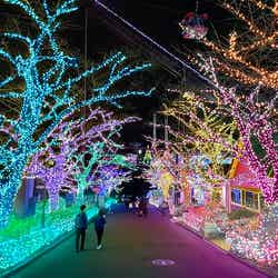 過去開催時の様子/提供画像