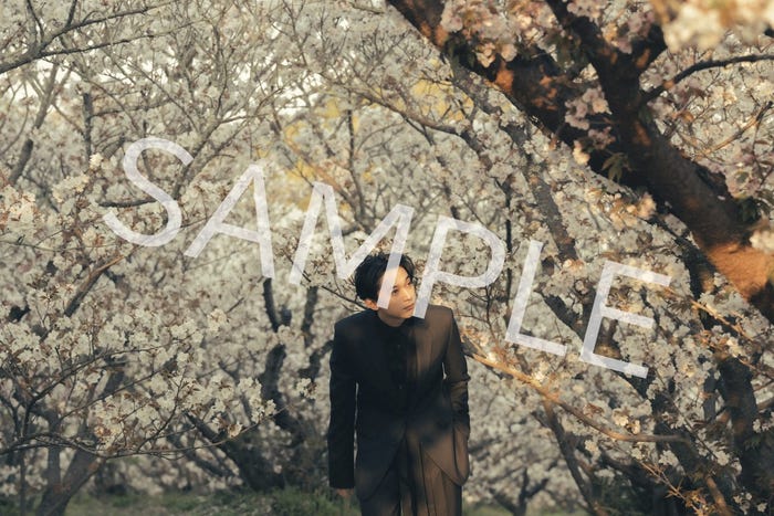 「吉沢亮 2024.4→2025.3 カレンダー」(提供写真)