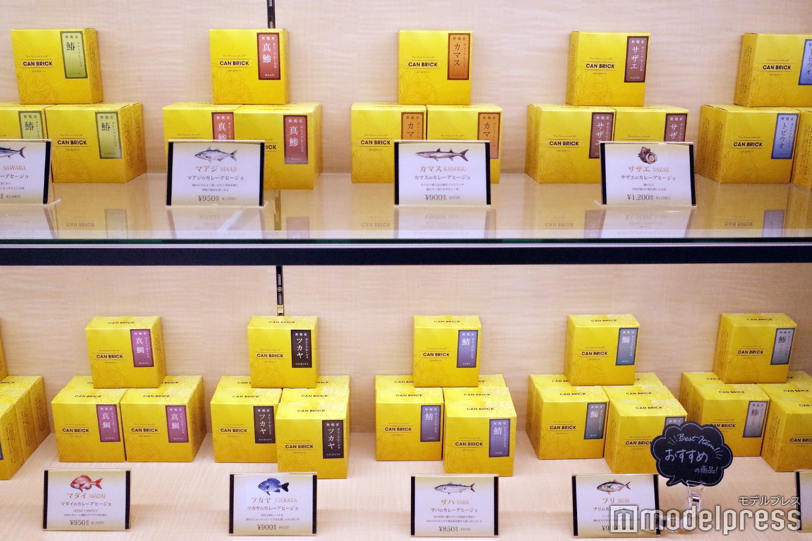 舞鶴赤れんがパーク（C）モデルプレス