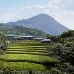 星野リゾート 界 由布院/画像提供:星野リゾート