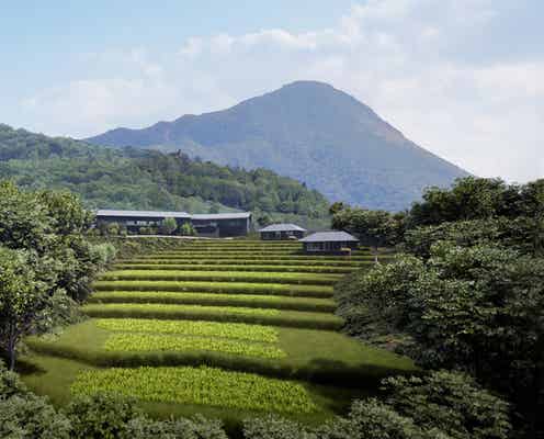 「星野リゾート 界 由布院」2022年夏開業、棚田状の庭園を見晴らす温泉旅館