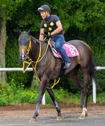 【ローズS】ミリタリータトゥー好気配 6月小倉でのデビューから2連勝中！3戦目でも侮れない存在