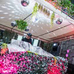 JAM17 DINING & BAR/提供画像