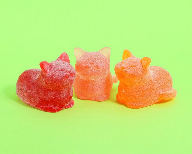 ねこグッズ特集 ねこグッズ特集