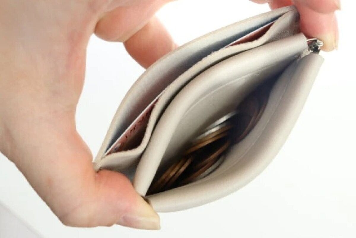 ダイソー　レザー調バネ口カードケース（ベーシック）　使用例　サイズ感