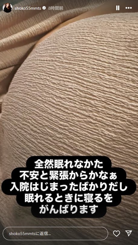 中川翔子Instagramストーリーズより