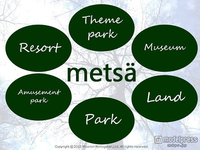 フィンランド語で「森」を意味する「Metsa（メッツア）」／画像提供：フィンテック